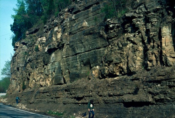Typical road cut of Ordovician rocks in northern Kentucky, part of sequence of thousands of feet in thickness of limestones and shales deposited in quiet water over millions of years