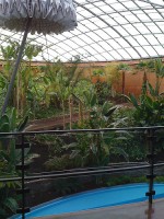 Inside the dome of the astronomers' hotel, it's a greenhouse, pool, and that umbrella-looking thing closes at night so not a photon of light can escape and contaminate the telescopic viewings