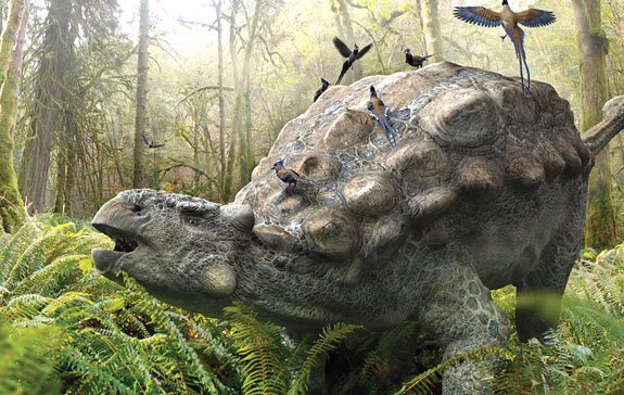 Image from Daniel Loxton's Ankylosaur Attack.  © 2011. All Rights Reserved.