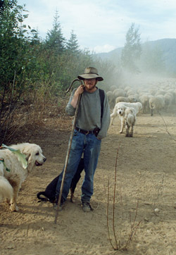 Daniel Loxton in sheep camp
